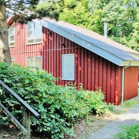 Komfort-Ferienhaus - Extertal Ferienpark - Entspannung, Natur, Wald, Familie #51 Dış mekan fotoğraf